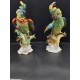 Cacatúas de porcelana alemana