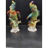 Cacatúas de porcelana alemana